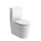 WC_DIPTP0154_CO.jpg.jpeg WC_DIPTP0154_CO.jpg.jpeg